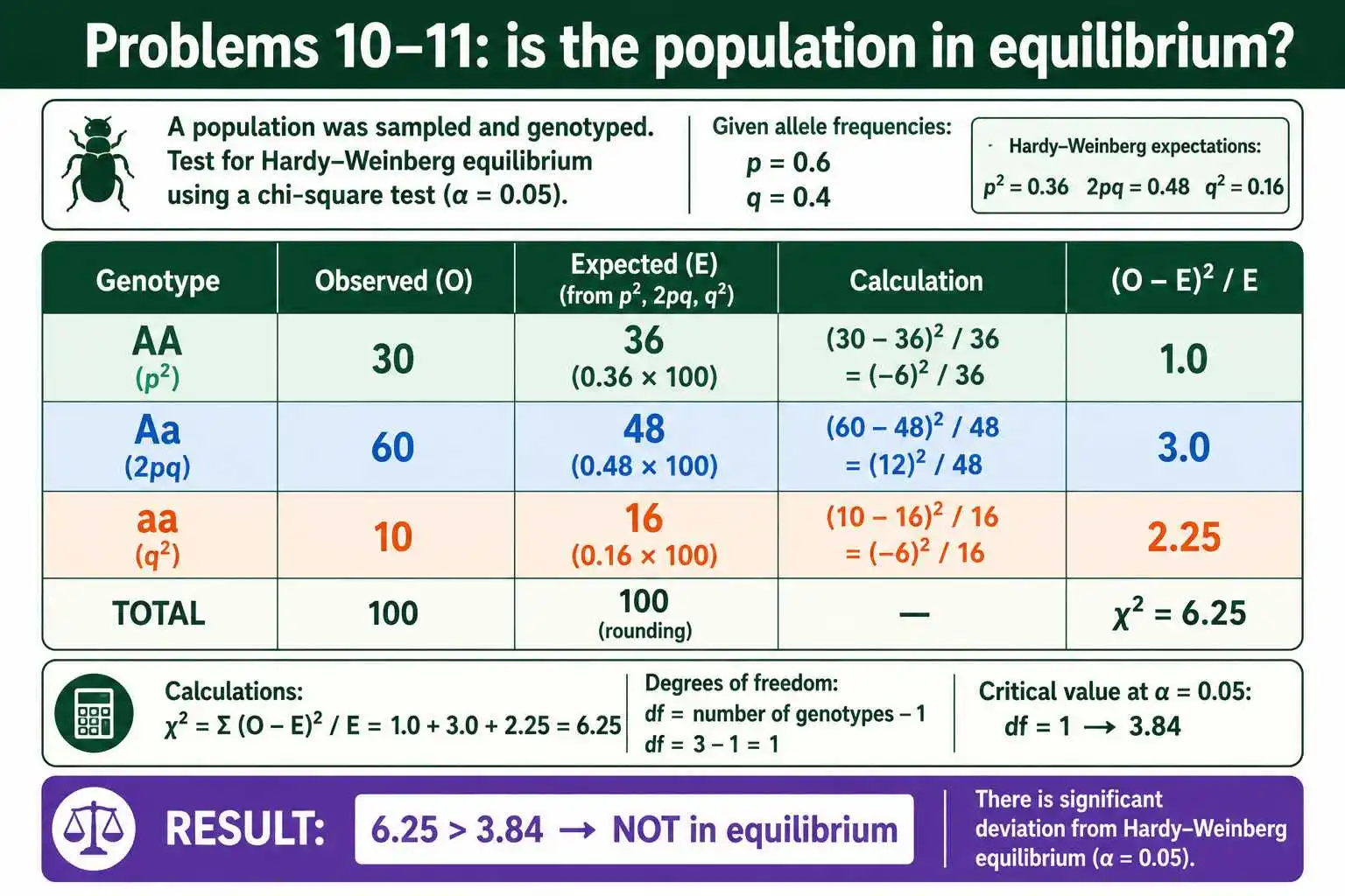 Chi-square equilibrium test worked problem