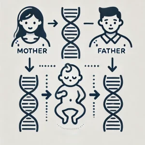 Baby genetics calculator