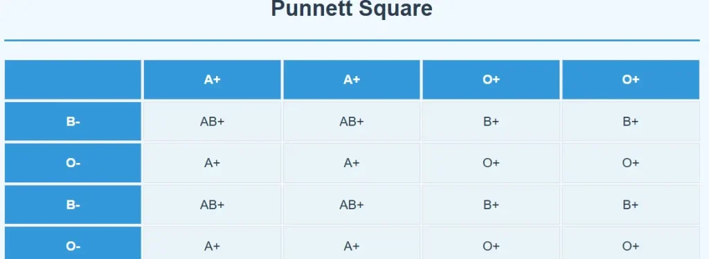 Blood type punnett square