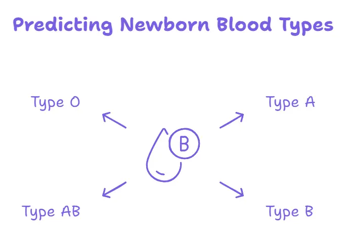 Blood Type Calculator with Punnett Square Visuals