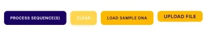 process DNA sequence