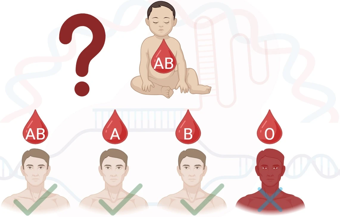 Paternity Testing Using Blood Type Punnett Square