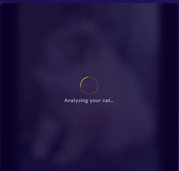 AI analyzing cat image to detect breed features and morphological traits