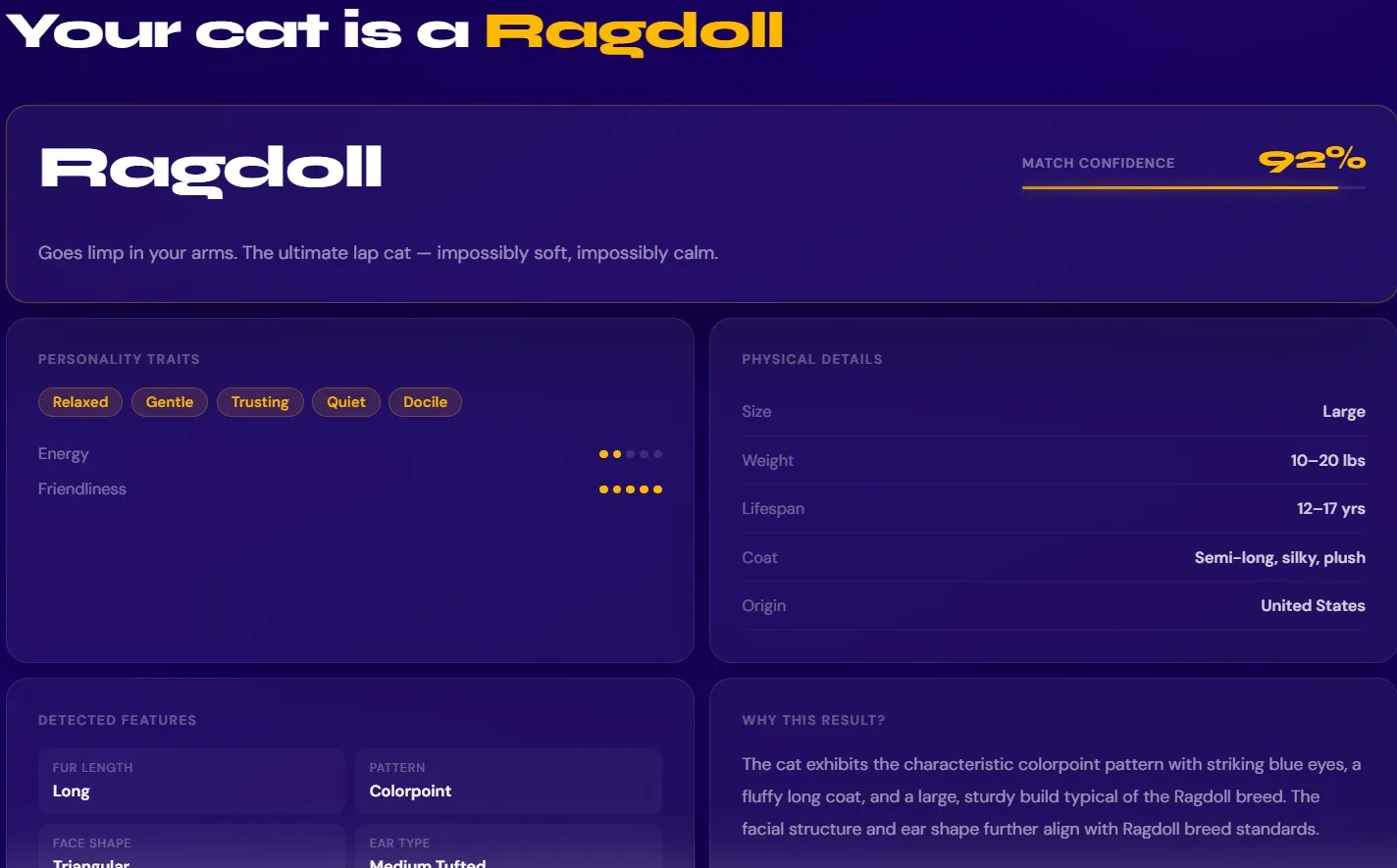 Cat breed identification results showing breed name, confidence score, and personality traits